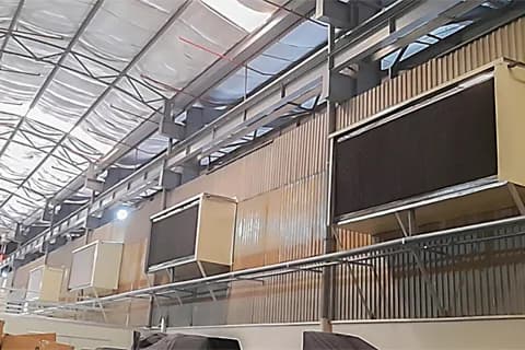 Giải pháp làm mát trang trại chăn nuôi